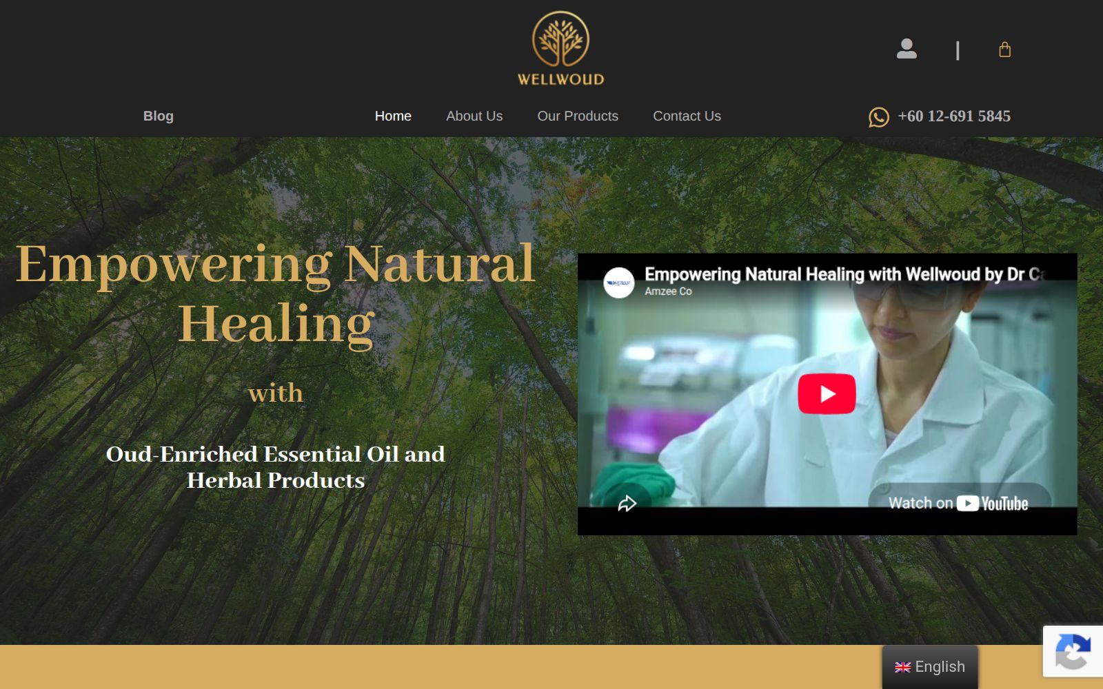 Home page of wellwoud.com, an aroma products shop with the headline Empowering Natural Healing over a forest photo, beside an embedded video